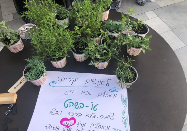 תבלינים לטו בשבט
