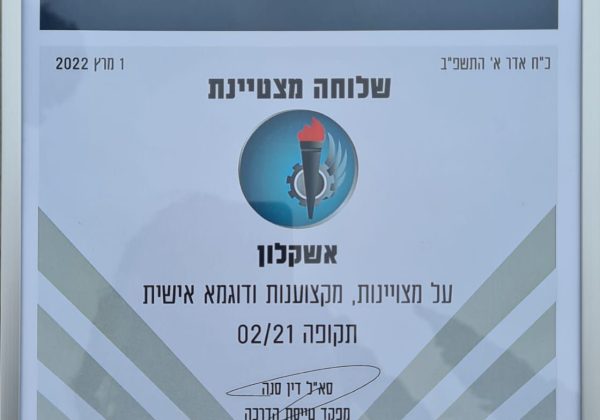 שלוחה מצטיינת