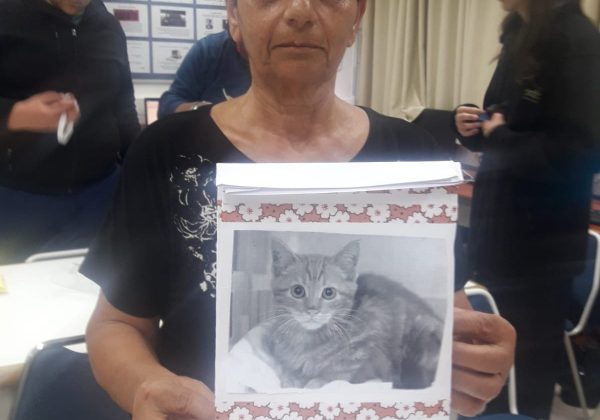 משלוחי מנות בגלישה