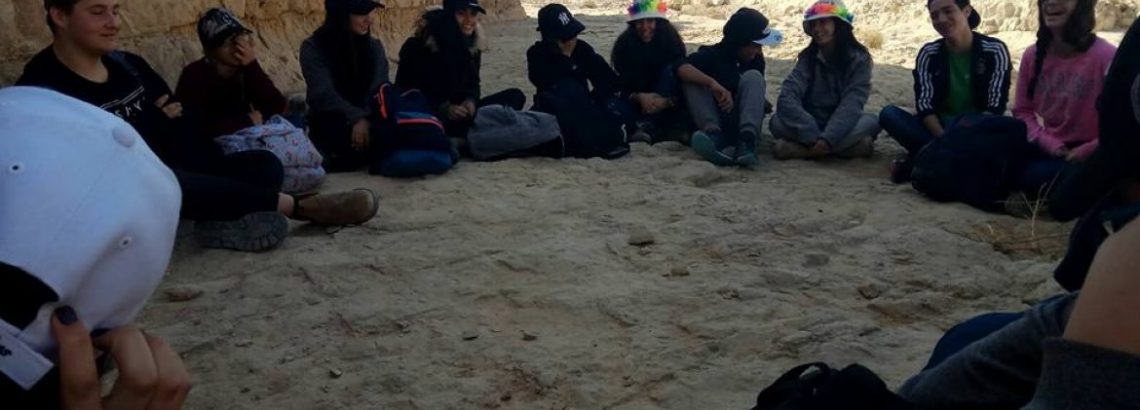 מד”צים